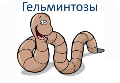 ГЕЛЬМИНТОЗЫ